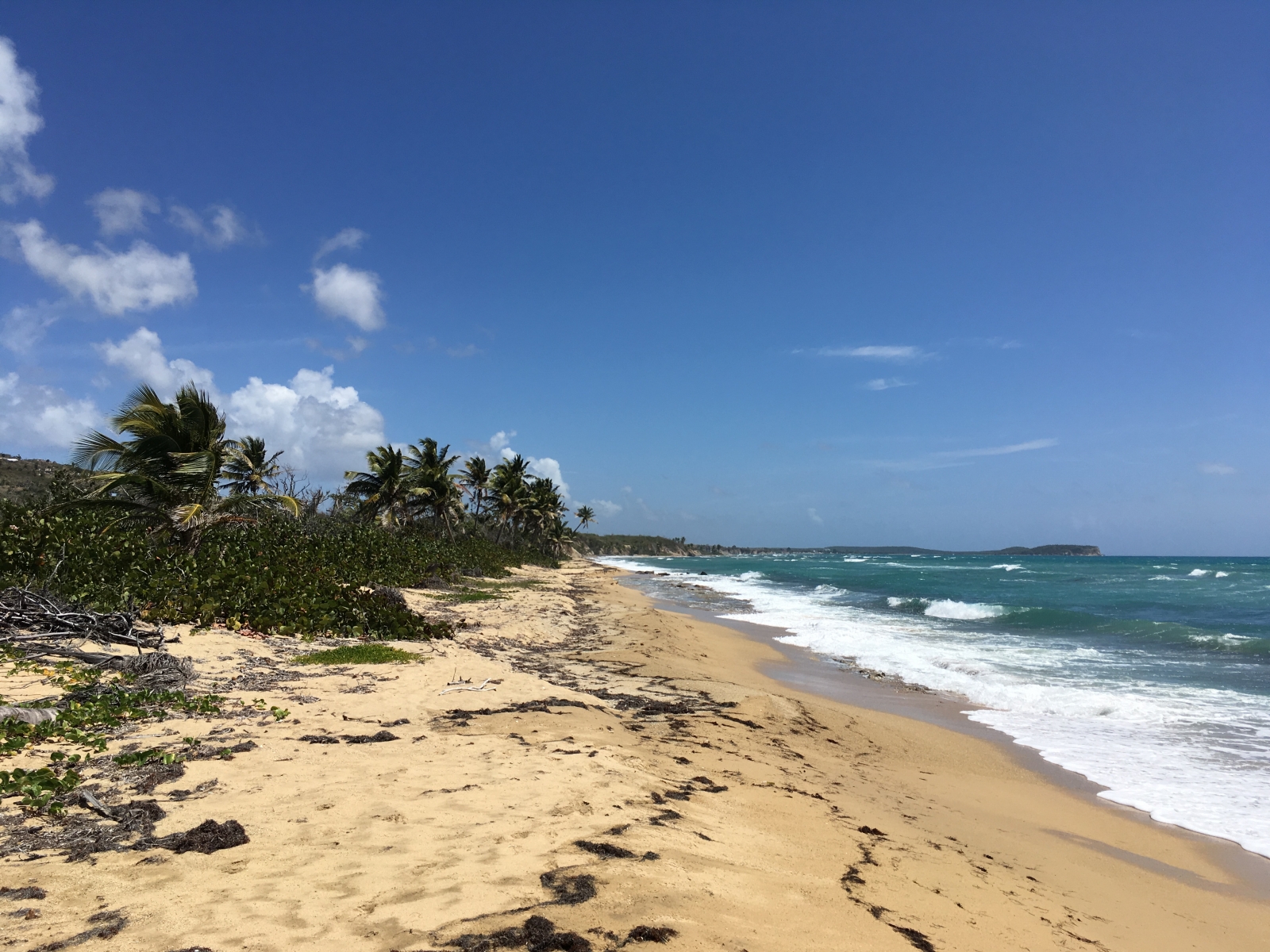 Beach     Around the World