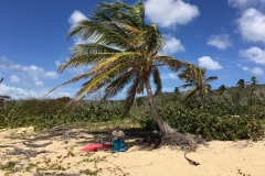 Playa Grande