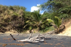 Playa Negra