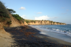 Playa Negra